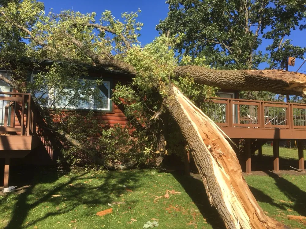 Custom yard cleanup service near you across Pierz, MN - Vince's Tree and Landscaping