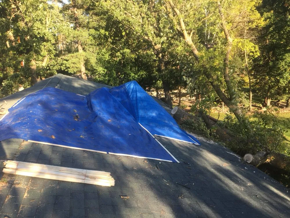 Professional yard cleanup service in Pierz, MN - Vince's Tree and Landscaping