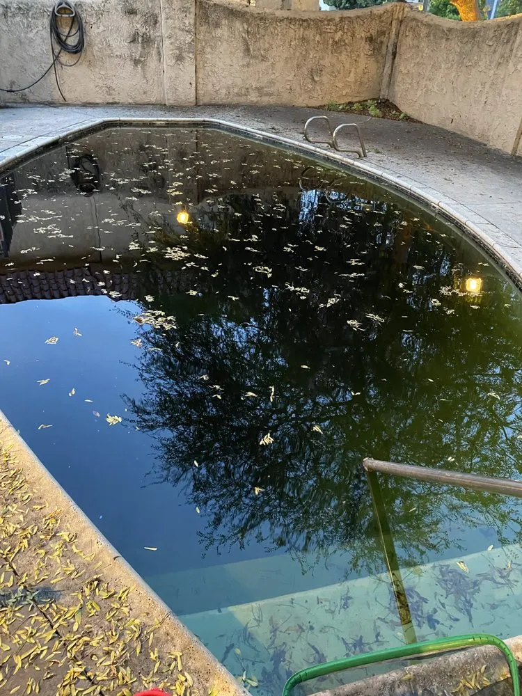 Top-rated lawn mowing service for residential properties in Arcadia, CA by Vine & Branch