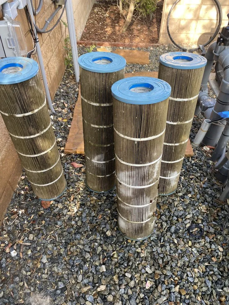 Trusted lawn care service near you in Arcadia, CA by Vine & Branch