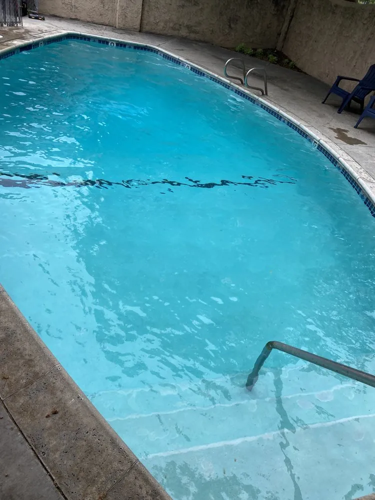 Expert yard maintenance in Arcadia, CA by Vine & Branch