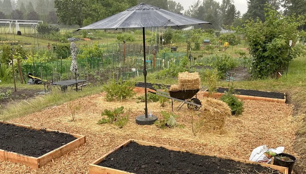 Top-rated yard maintenance for outdoor upgrades in Happy Valley, OR by Vine & Branch Landscapes