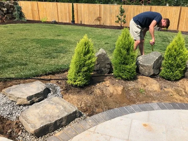 Top-rated yard cleanup service in Happy Valley, OR by Vine & Branch Landscapes