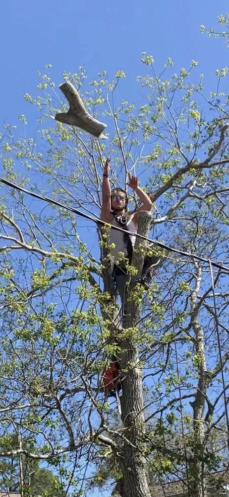 Reliable garden landscaping experts serving Pensacola, FL - Vine and Branches Lawn and Tree Service