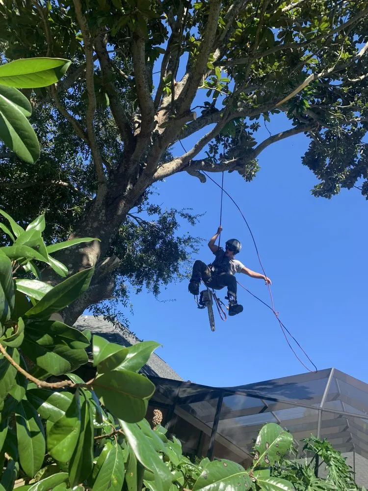 Custom landscape installation experts serving Pensacola, FL - Vine and Branches Lawn and Tree Service