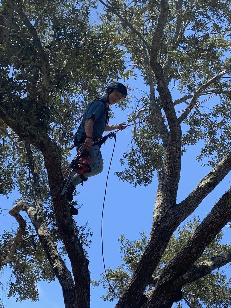 Custom landscaping services in Pensacola, FL - Vine and Branches Lawn and Tree Service