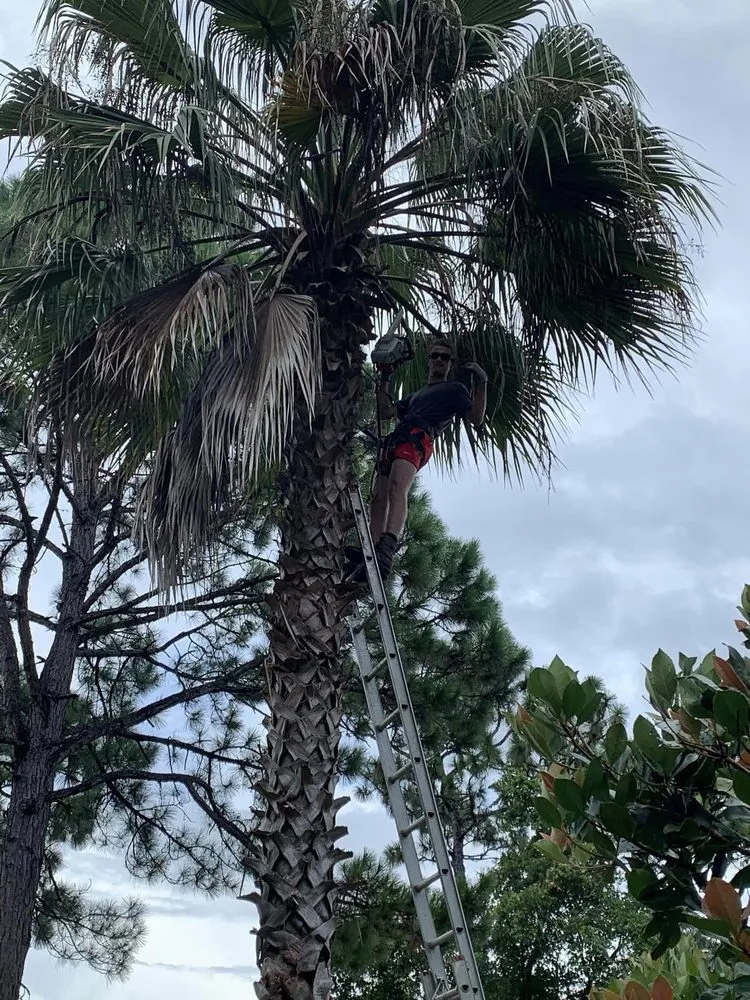 Affordable garden landscaping for year-round maintenance across Pensacola, FL - Vine and Branches Lawn and Tree Service