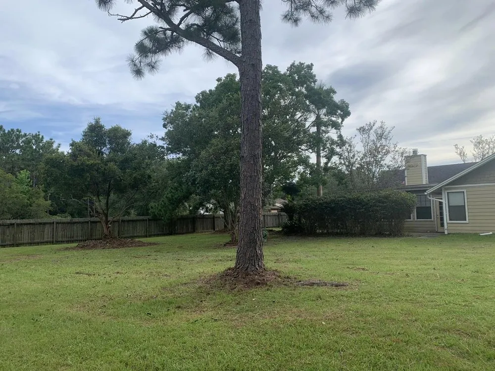 Top-rated yard maintenance experts serving Pensacola, FL - Vine and Branches Lawn and Tree Service