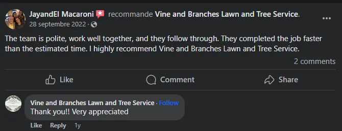 Reliable outdoor landscaping experts serving Pensacola, FL - Vine and Branches Lawn and Tree Service