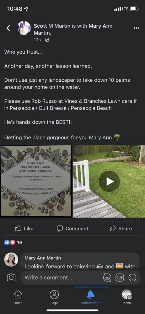 Top-rated lawn care service experts serving Pensacola, FL - Vine and Branches Lawn and Tree Service