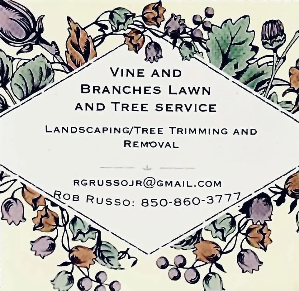 Top-rated outdoor landscaping for year-round maintenance in Pensacola, FL by Vine and Branches Lawn and Tree Service