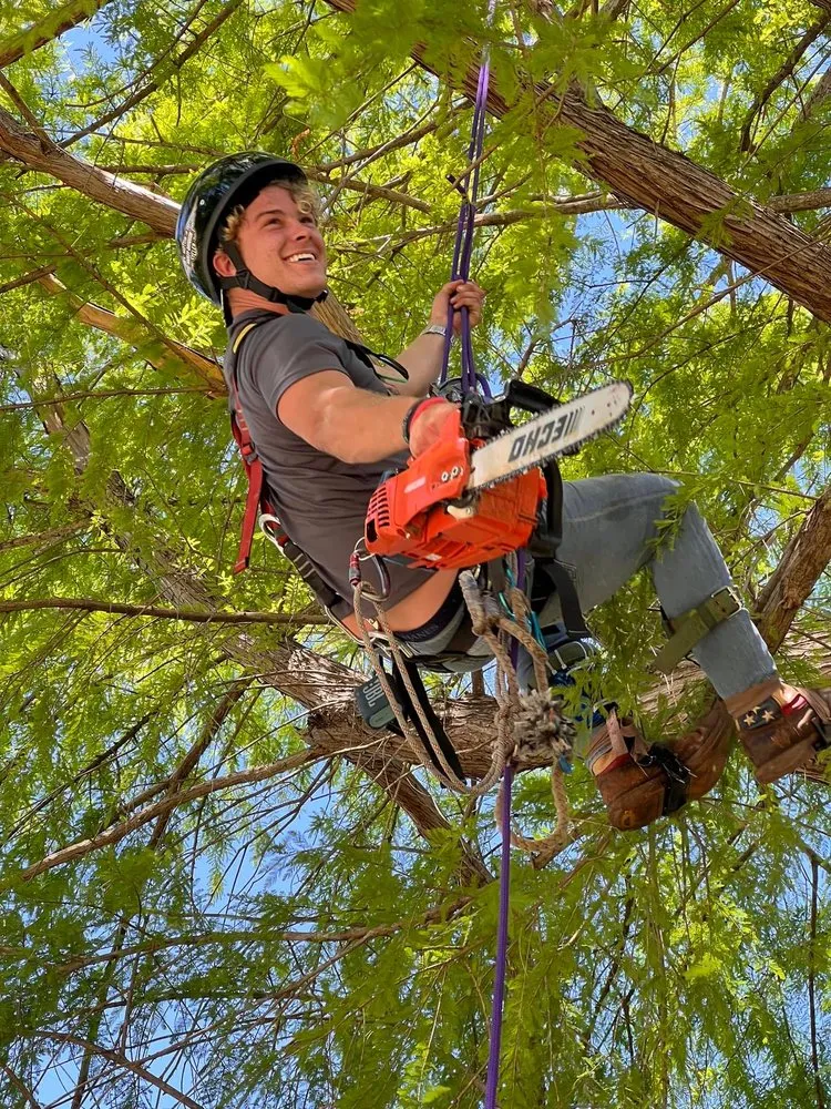 Custom landscaping services for residential properties across Pensacola, FL - Vine and Branches Lawn and Tree Service