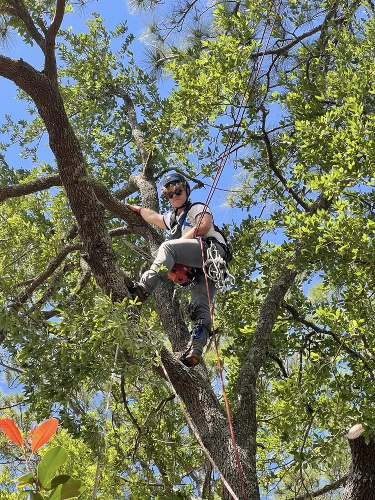 Affordable yard cleanup service for beautiful yards in Pensacola, FL by Vine and Branches Lawn and Tree Service