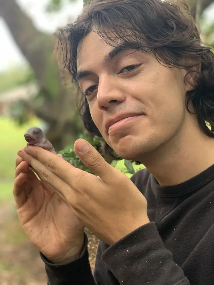 Local outdoor landscaping in Pensacola, FL by Vine and Branches Lawn and Tree Service