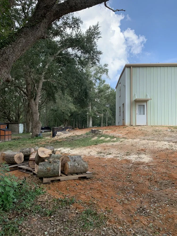 Top-rated lawn care service for year-round maintenance across Pensacola, FL - Vine and Branches Lawn and Tree Service