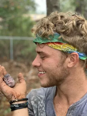 Vine and Branches Lawn and Tree Service Logo