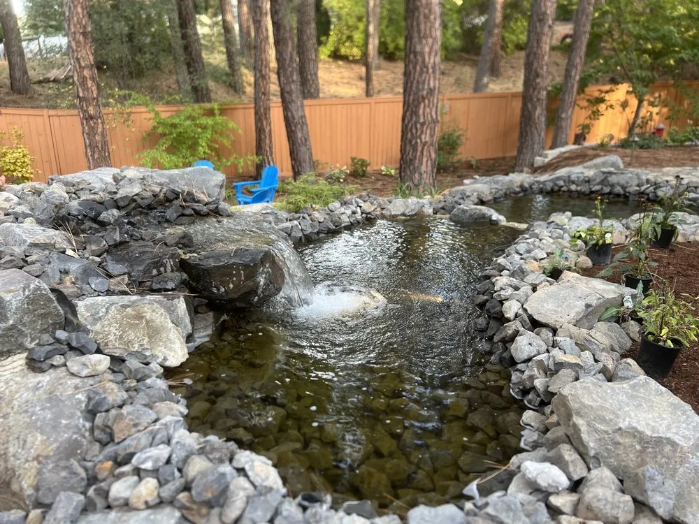 Affordable lawn care service experts serving Spokane, WA - Vine and Branches