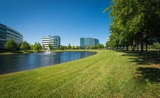 Custom landscape design near you across Naples, FL - Vine Lawn Care