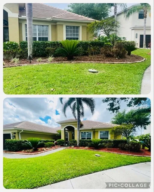 Expert yard cleanup service in Naples, FL - Vine Lawn Care