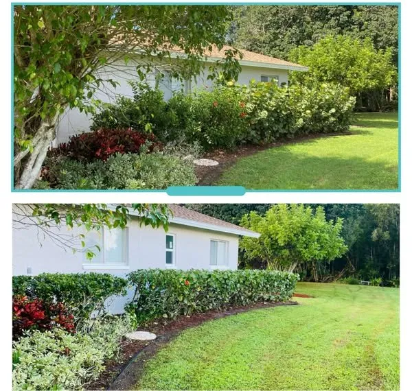 Professional landscape installation experts serving Naples, FL - Vine Lawn Care