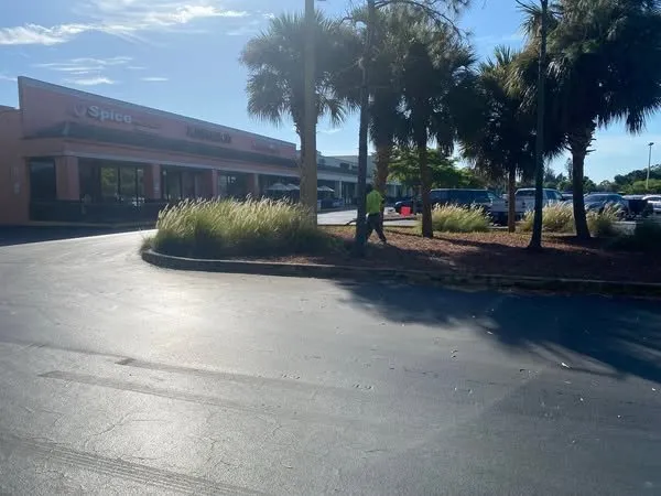 Professional yard cleanup service in Naples, FL by Vine Lawn Care