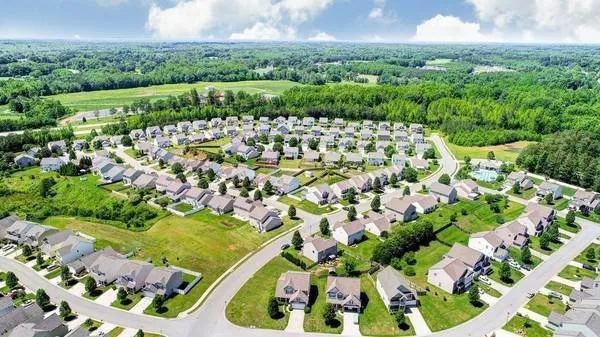 Top-rated residential landscaping for year-round maintenance across Naples, FL - Vine Lawn Care