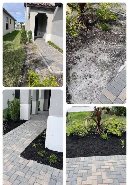 Trusted landscape installation experts serving Naples, FL - Vine Lawn Care