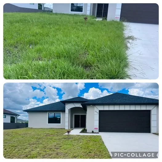 Local yard cleanup service in Naples, FL - Vine Lawn Care