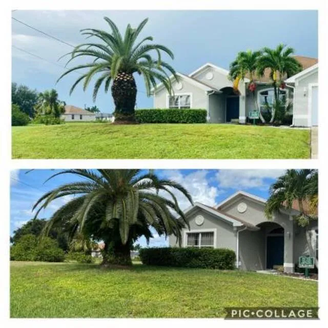 Trusted yard maintenance with custom design in Naples, FL by Vine Lawn Care