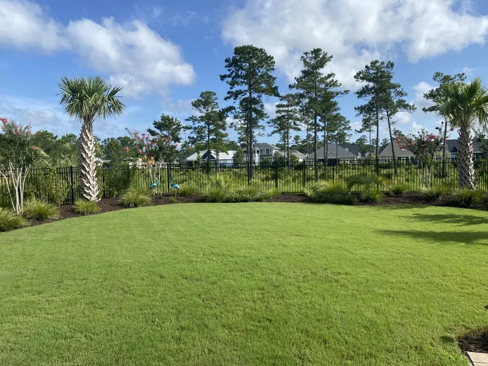 Expert outdoor landscaping near you in Wilmington, NC by Vinedresser Lawn and Landscape Maintenance