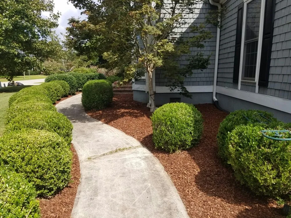Expert lawn mowing service for homes in Wilmington, NC by Vinedresser Lawn and Landscape Maintenance
