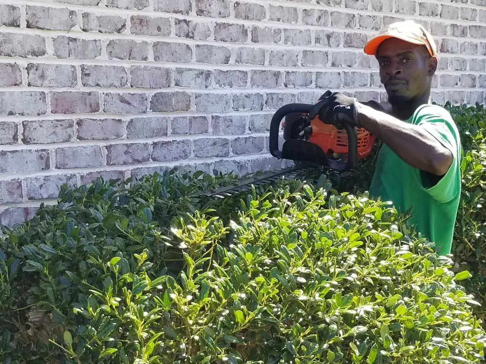 Affordable landscape installation for year-round maintenance across Wilmington, NC - Vinedresser Lawn and Landscape Maintenance