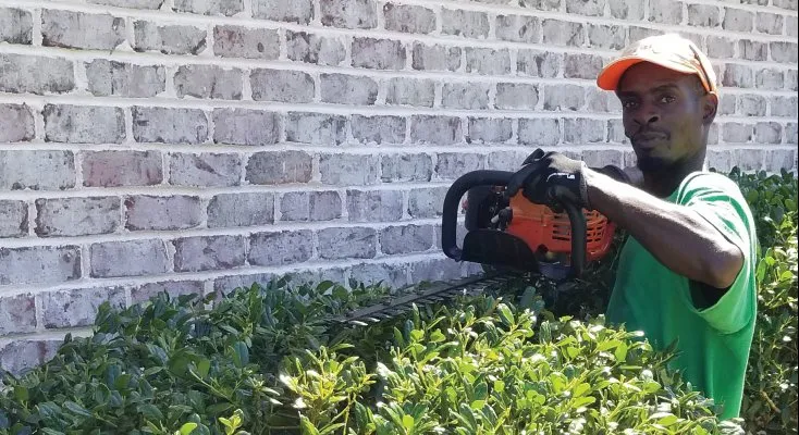 Professional garden landscaping in Wilmington, NC - Vinedresser Lawn and Landscape Maintenance