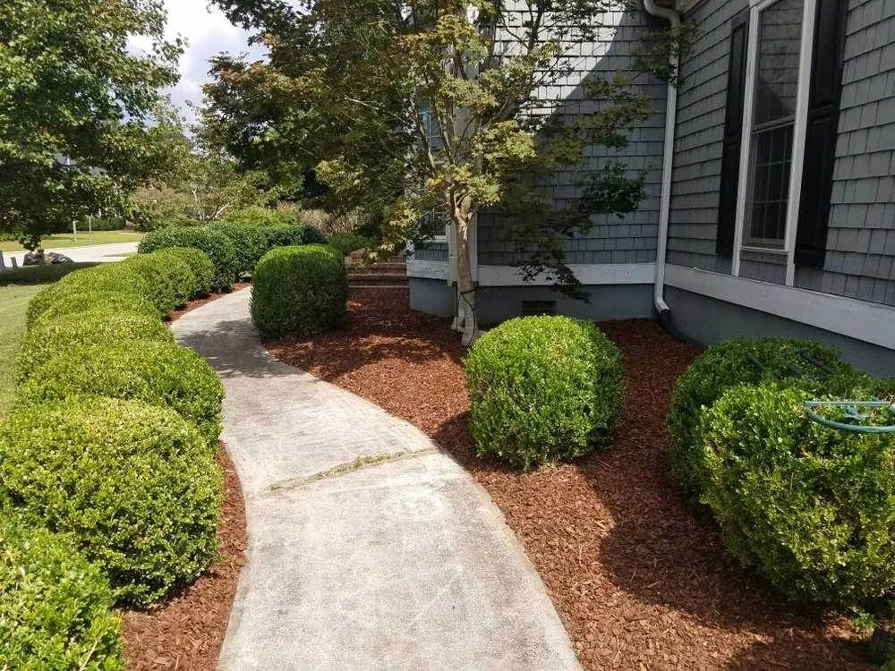 Custom lawn care service in Wilmington, NC by Vinedresser Lawn and Landscape Maintenance