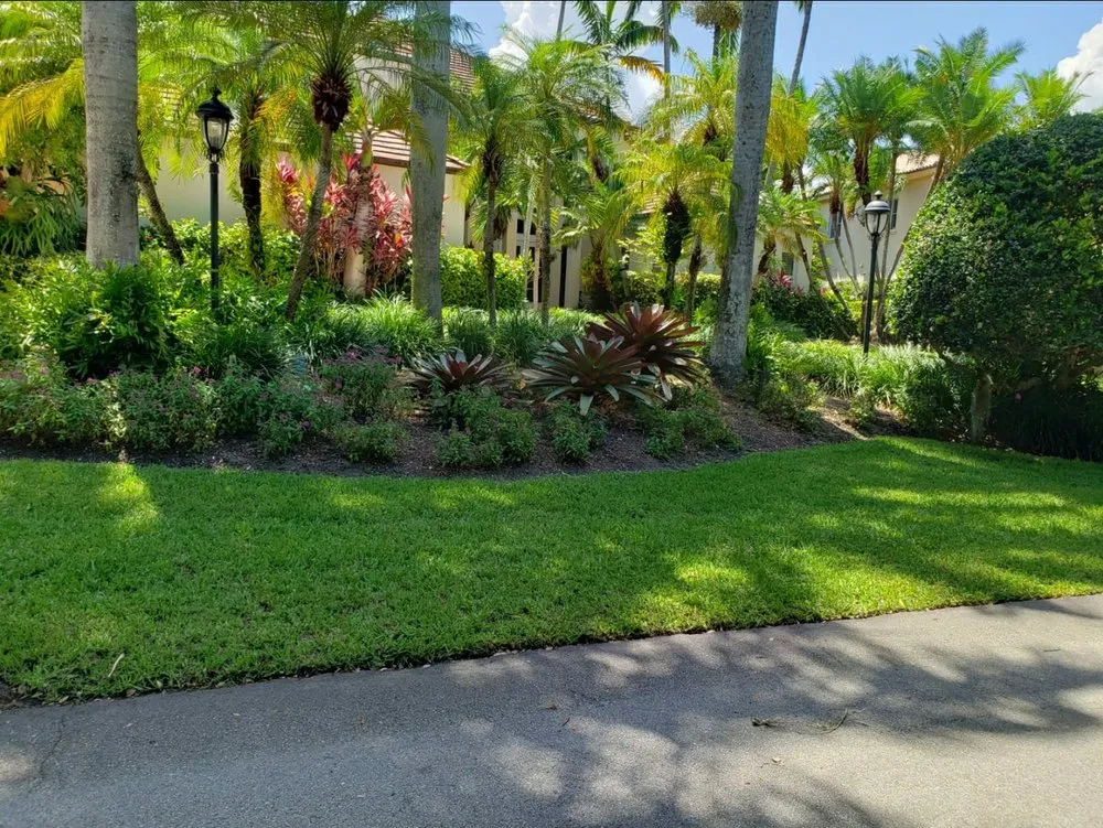 Professional lawn care service for homes across South Miami, FL - Vinehill Lawn Care & Landscaping