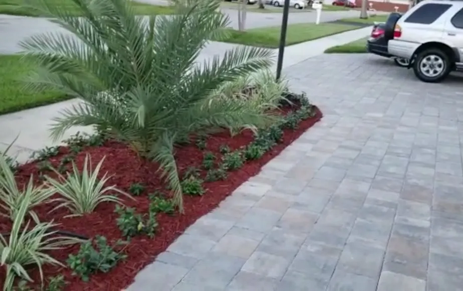 Professional landscape installation in South Miami, FL by Vinehill Lawn Care & Landscaping
