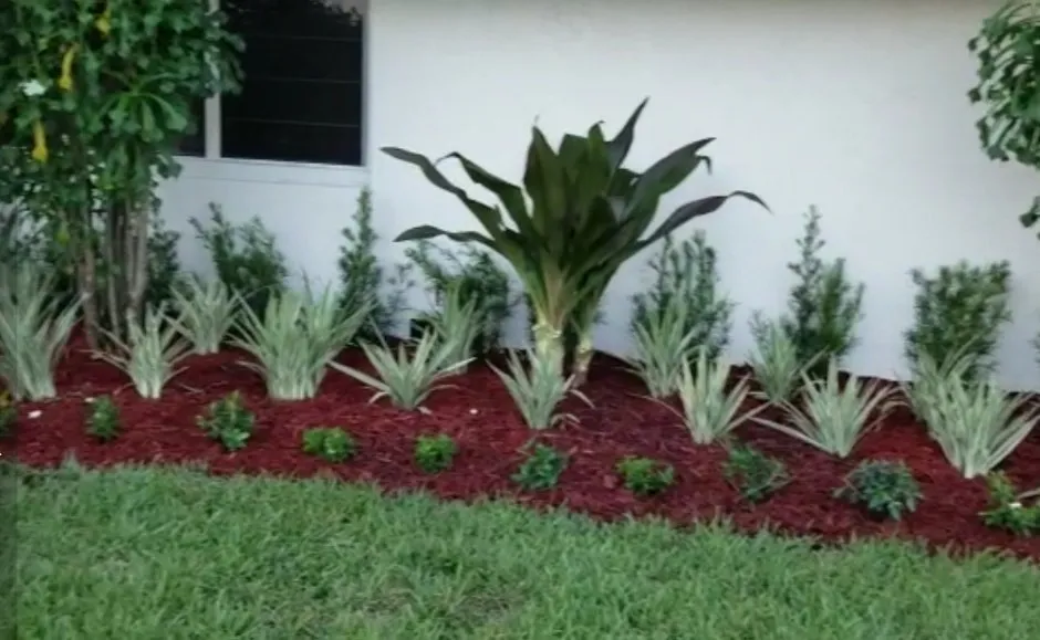 Trusted residential landscaping for residential properties in South Miami, FL by Vinehill Lawn Care & Landscaping
