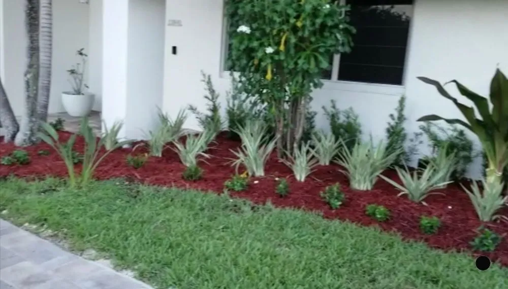 Professional outdoor landscaping experts serving South Miami, FL - Vinehill Lawn Care & Landscaping