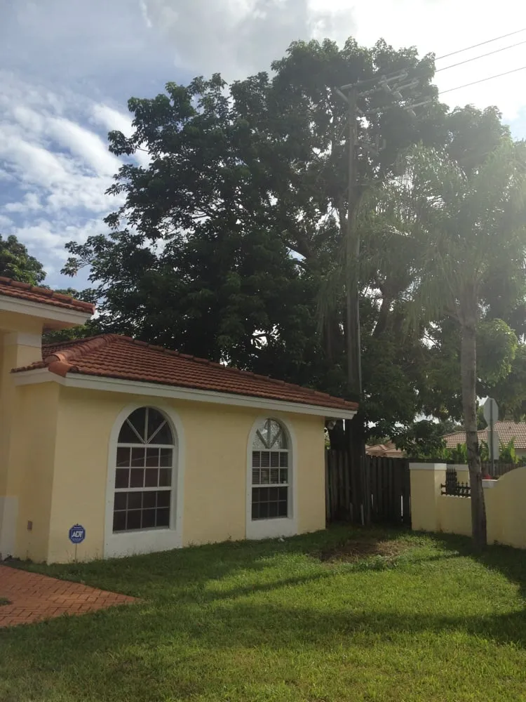 Local landscape design experts serving South Miami, FL - Vinehill Lawn Care & Landscaping