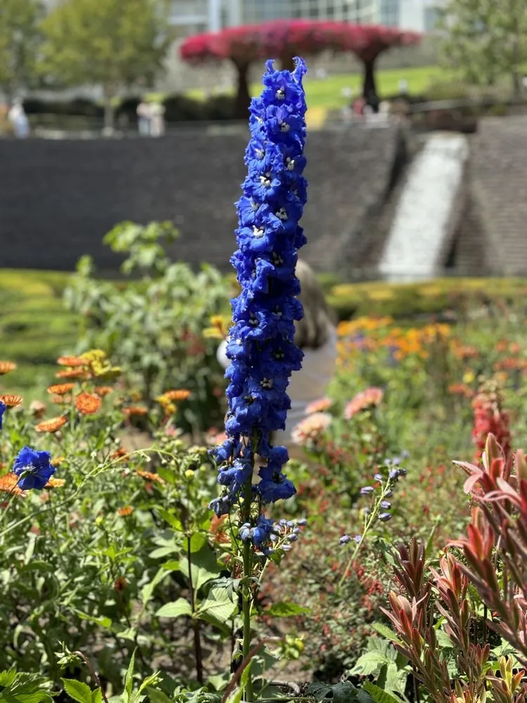 Trusted landscape design for residential properties in West Hills, CA by Vinella Garden