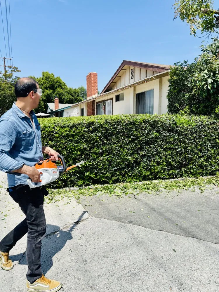 Trusted outdoor landscaping experts serving West Hills, CA - Vinella Garden