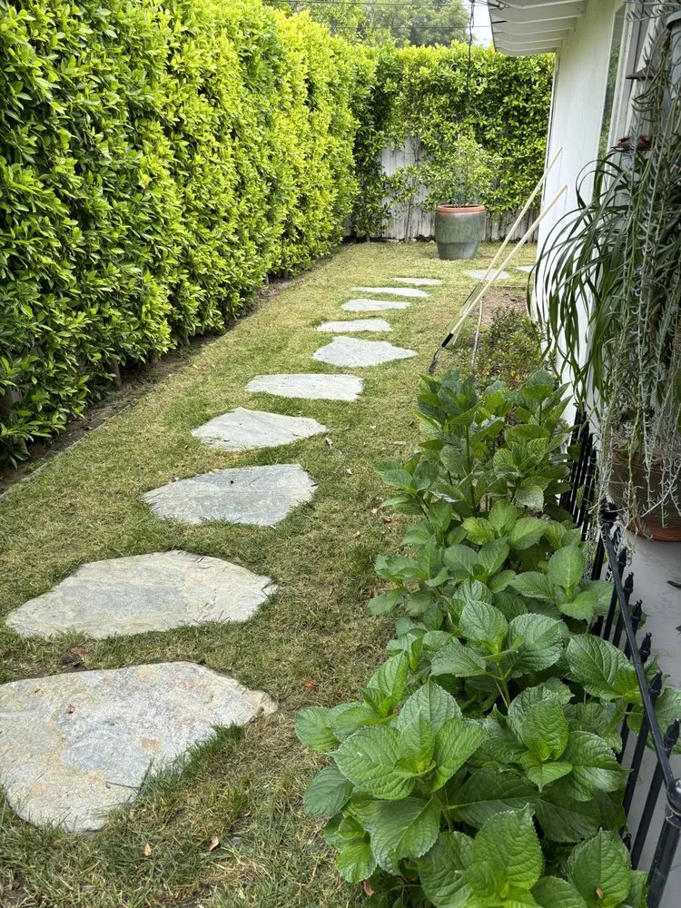 Reliable outdoor landscaping with custom design in West Hills, CA by Vinella Garden