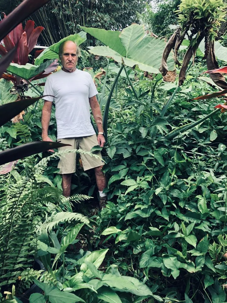 Custom garden landscaping for homes in Waimānalo, HI by Vines & Branches