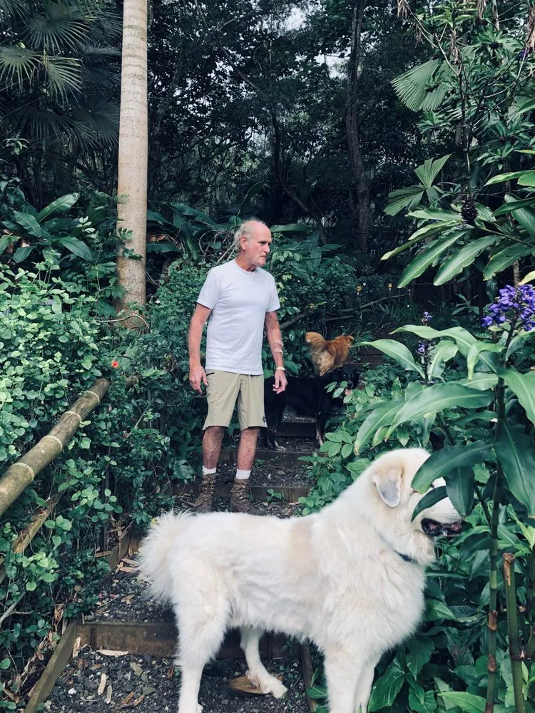 Top-rated landscape design for year-round maintenance across Waimānalo, HI - Vines & Branches