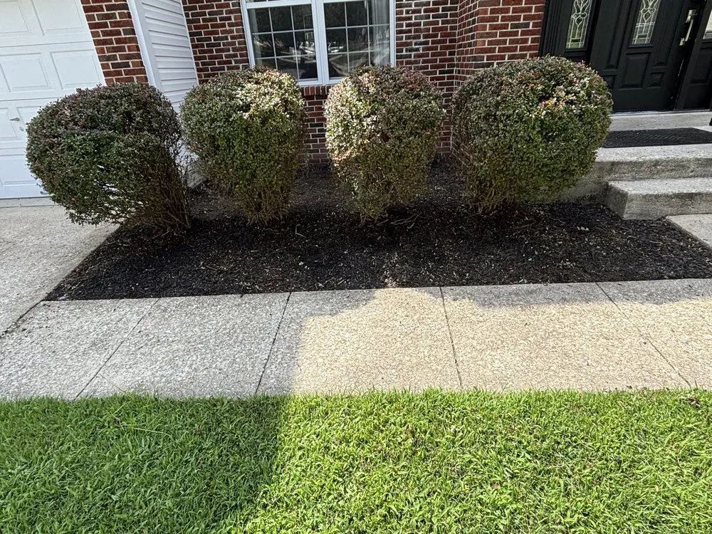 Expert outdoor landscaping experts serving Upper Marlboro, MD - Vinescaping