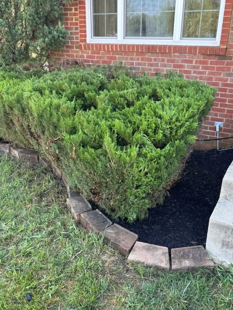 Reliable lawn mowing service in Upper Marlboro, MD by Vinescaping