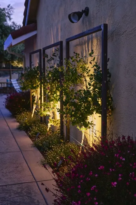Local residential landscaping in Livermore, CA by Vineyard Landscape and Maintenance