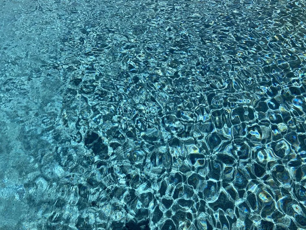 Custom yard maintenance experts serving Clovis, CA - Vineyard Pools