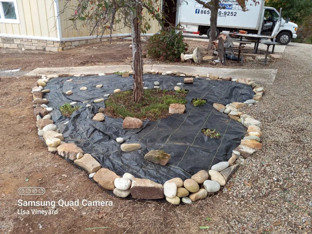 Affordable lawn mowing service in Knoxville, TN by Vineyard's Landscaping