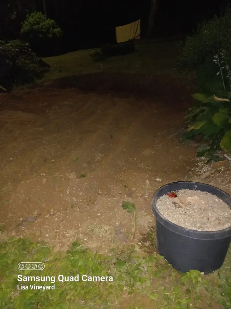 Affordable garden landscaping for beautiful yards in Knoxville, TN by Vineyard's Landscaping